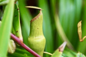 Сейшелы: карта, маршрут и полезная информация